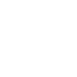 Turtle icon